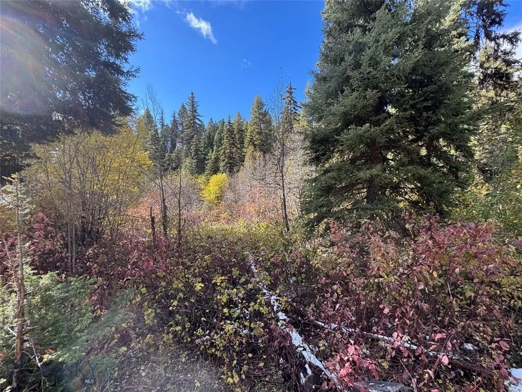 Seeley Lake, Montana 59868, ,Land,For Sale,0,409208