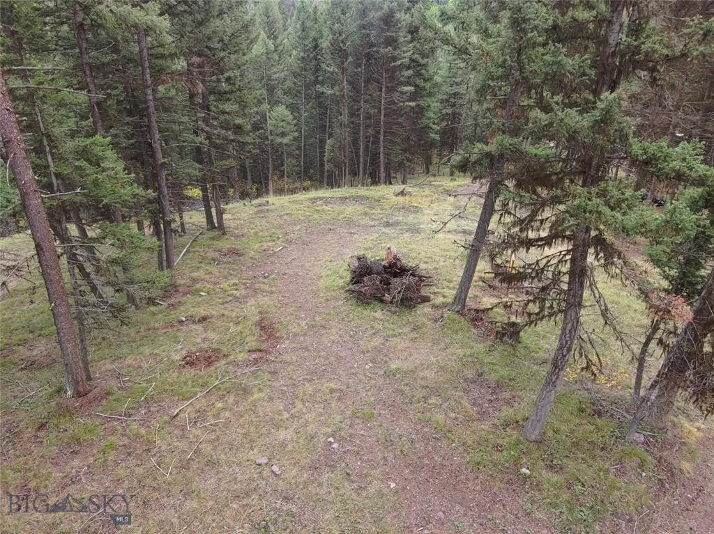 Seeley Lake, Montana 59868, ,Land,For Sale,0,409208