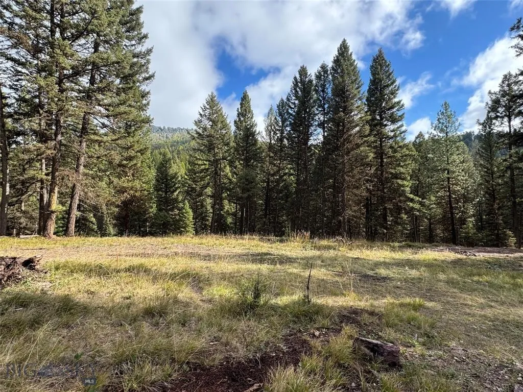 Seeley Lake, Montana 59868, ,Land,For Sale,0,409208