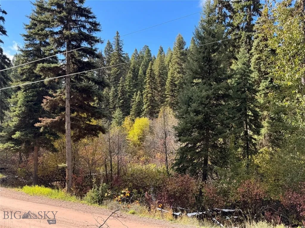 Seeley Lake, Montana 59868, ,Land,For Sale,0,409208