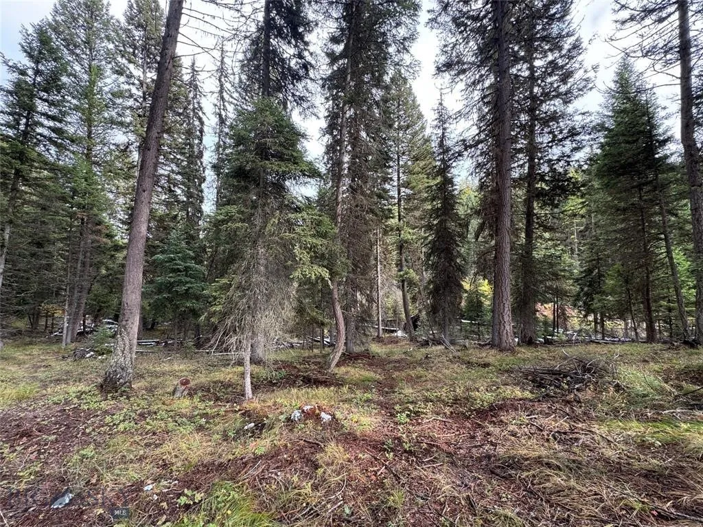 Seeley Lake, Montana 59868, ,Land,For Sale,0,409208