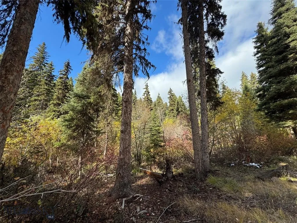 Seeley Lake, Montana 59868, ,Land,For Sale,0,409208
