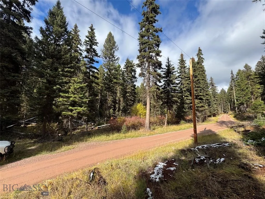 Seeley Lake, Montana 59868, ,Land,For Sale,0,409208