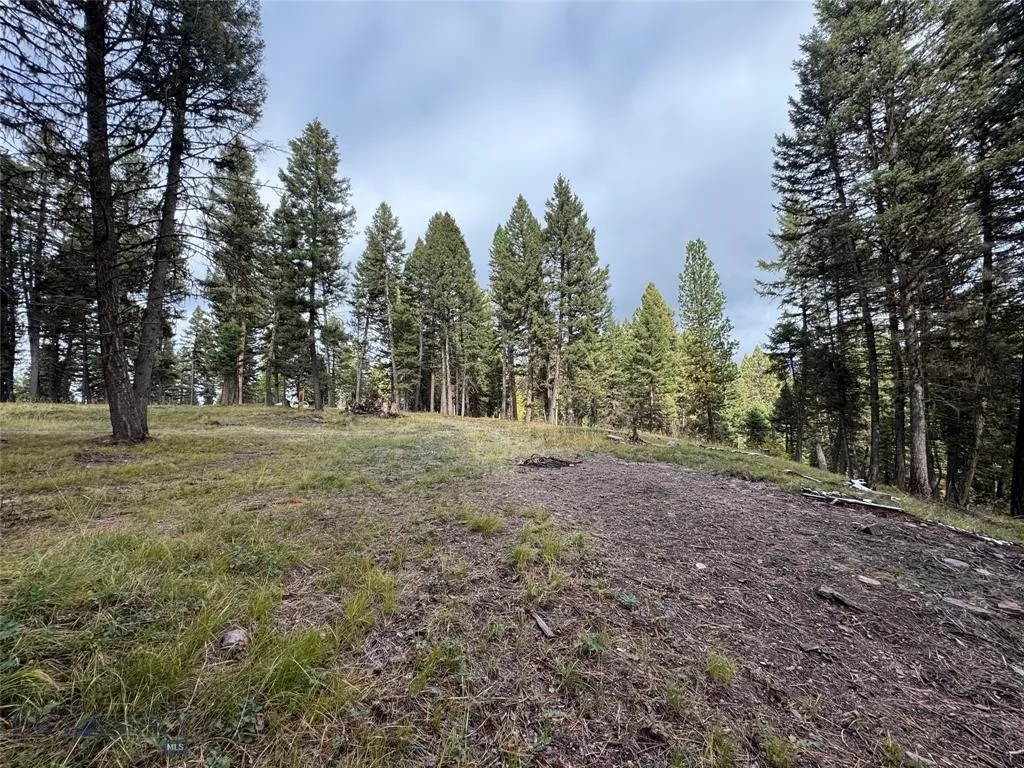 Seeley Lake, Montana 59868, ,Land,For Sale,0,409208