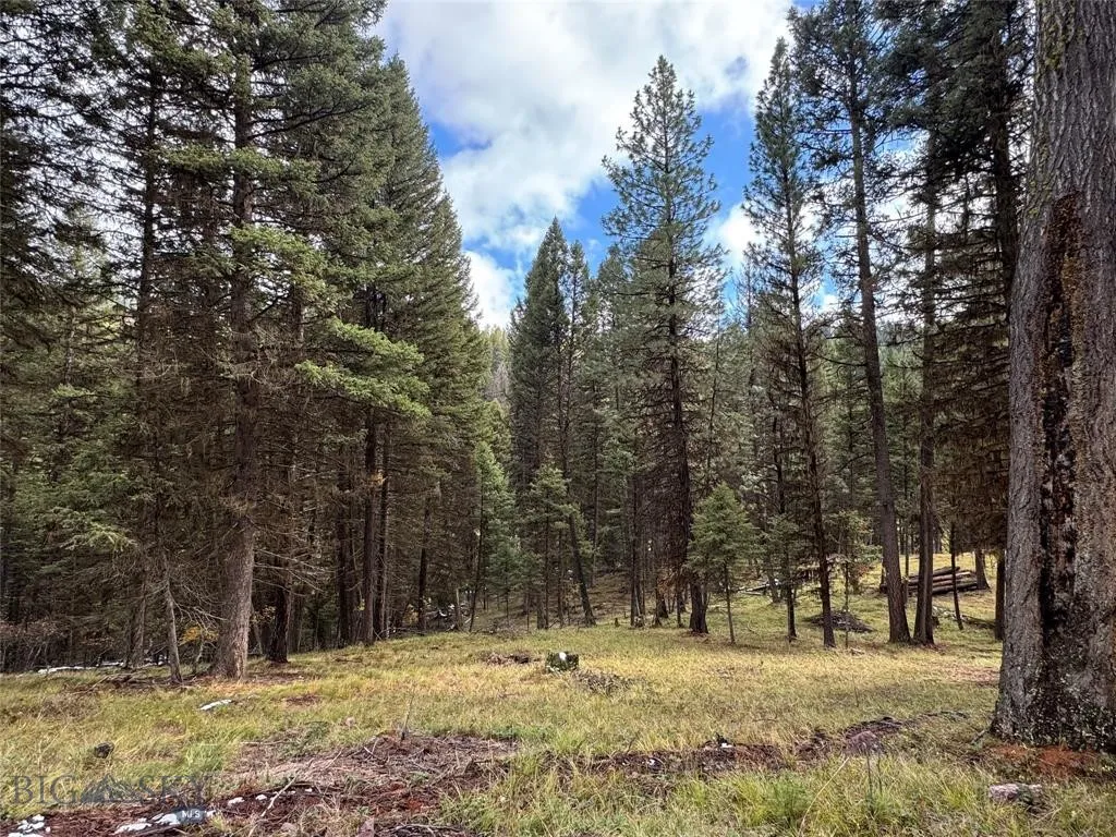 Seeley Lake, Montana 59868, ,Land,For Sale,0,409208