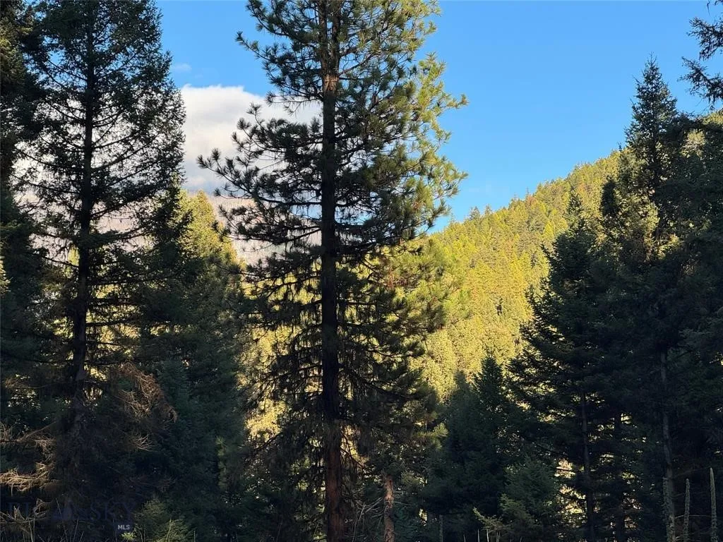 Seeley Lake, Montana 59868, ,Land,For Sale,0,409208