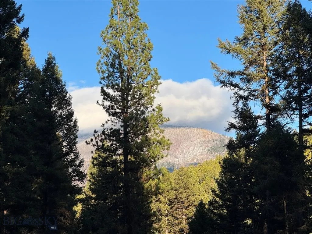 Seeley Lake, Montana 59868, ,Land,For Sale,0,409208