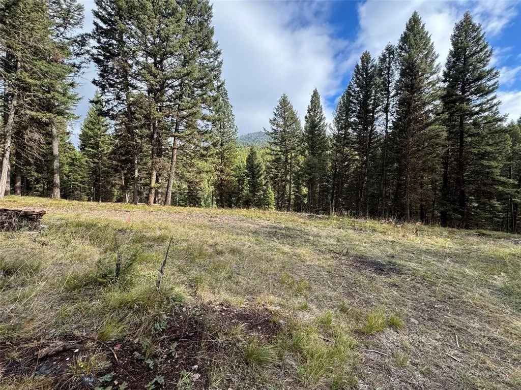 Seeley Lake, Montana 59868, ,Land,For Sale,0,409208