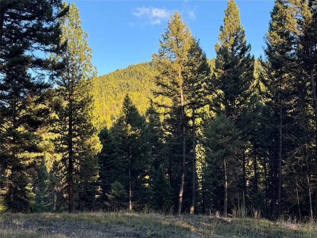 Seeley Lake, Montana 59868, ,Land,For Sale,0,409208