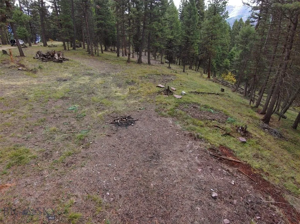 Seeley Lake, Montana 59868, ,Land,For Sale,0,409208