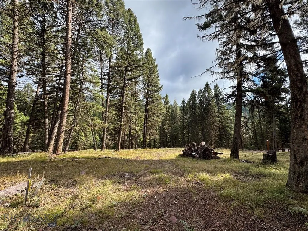 Seeley Lake, Montana 59868, ,Land,For Sale,0,409208