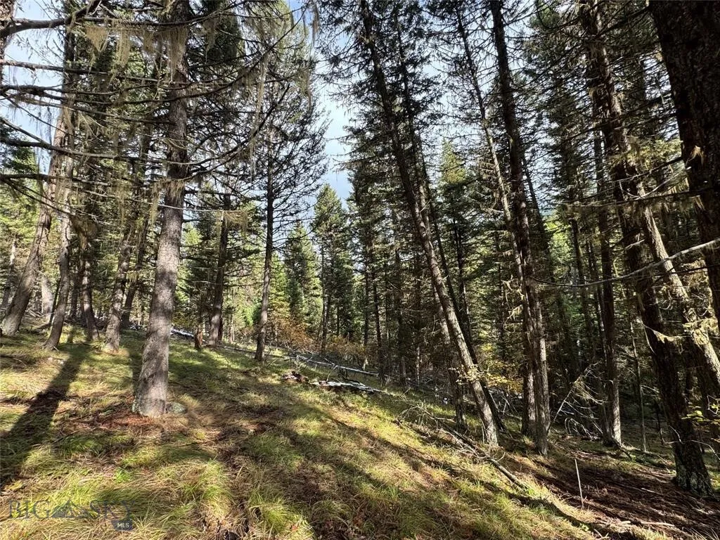 Seeley Lake, Montana 59868, ,Land,For Sale,0,409208