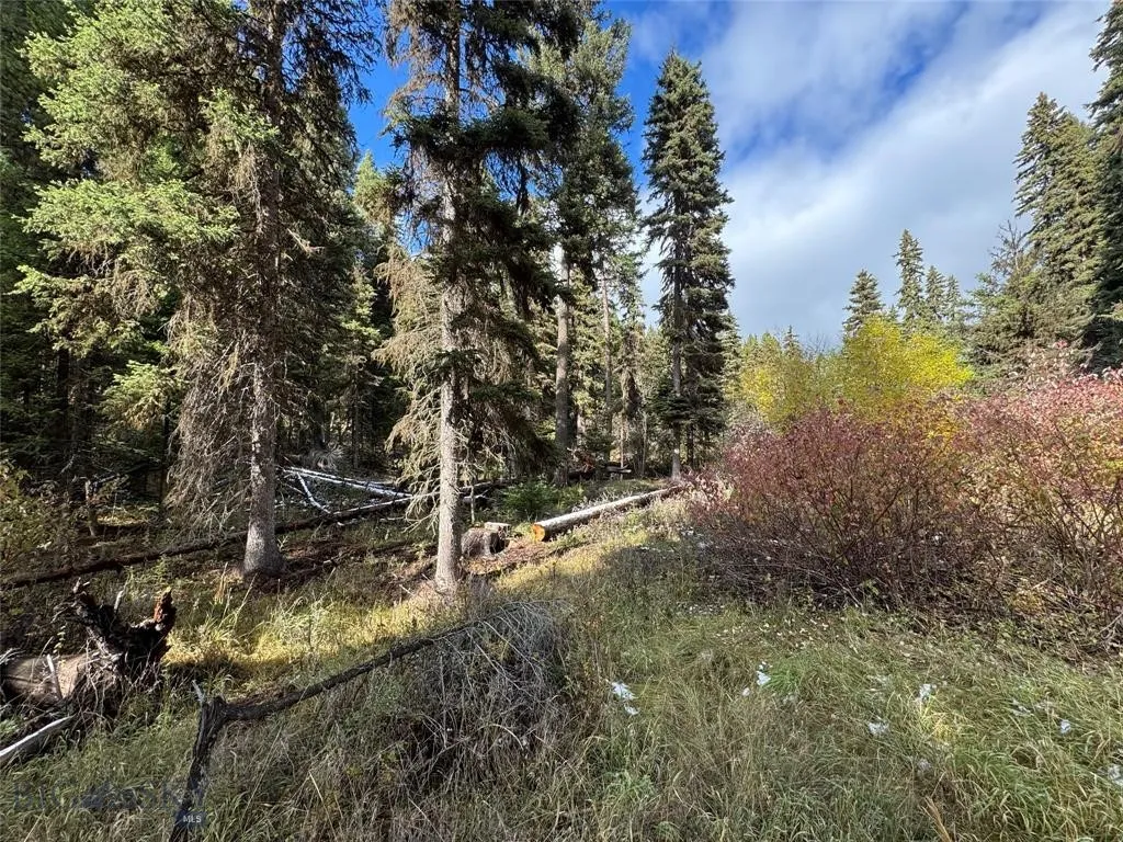Seeley Lake, Montana 59868, ,Land,For Sale,0,409208