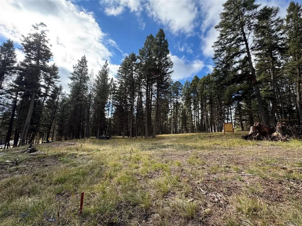 Seeley Lake, Montana 59868, ,Land,For Sale,0,409208