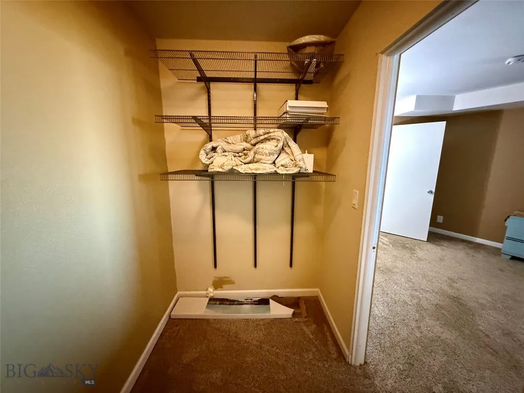Downstairs Walk-in Closet