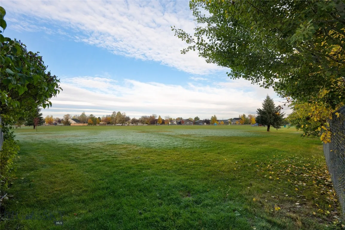 Park Just Beyond the Back Yard.
