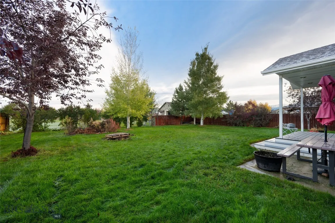 Huge Back Yard With Park Access