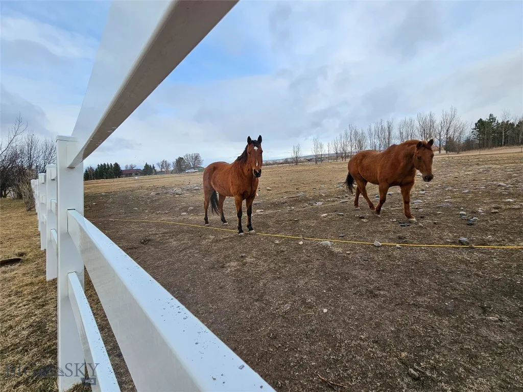 23 Indian Rings Road, Big Timber, Montana 59011, Big Timber, Montana 59011, 4 Bedrooms Bedrooms, ,2 BathroomsBathrooms,Residential,For Sale,23 Indian Rings Road, Big Timber, Montana 59011,0,409196