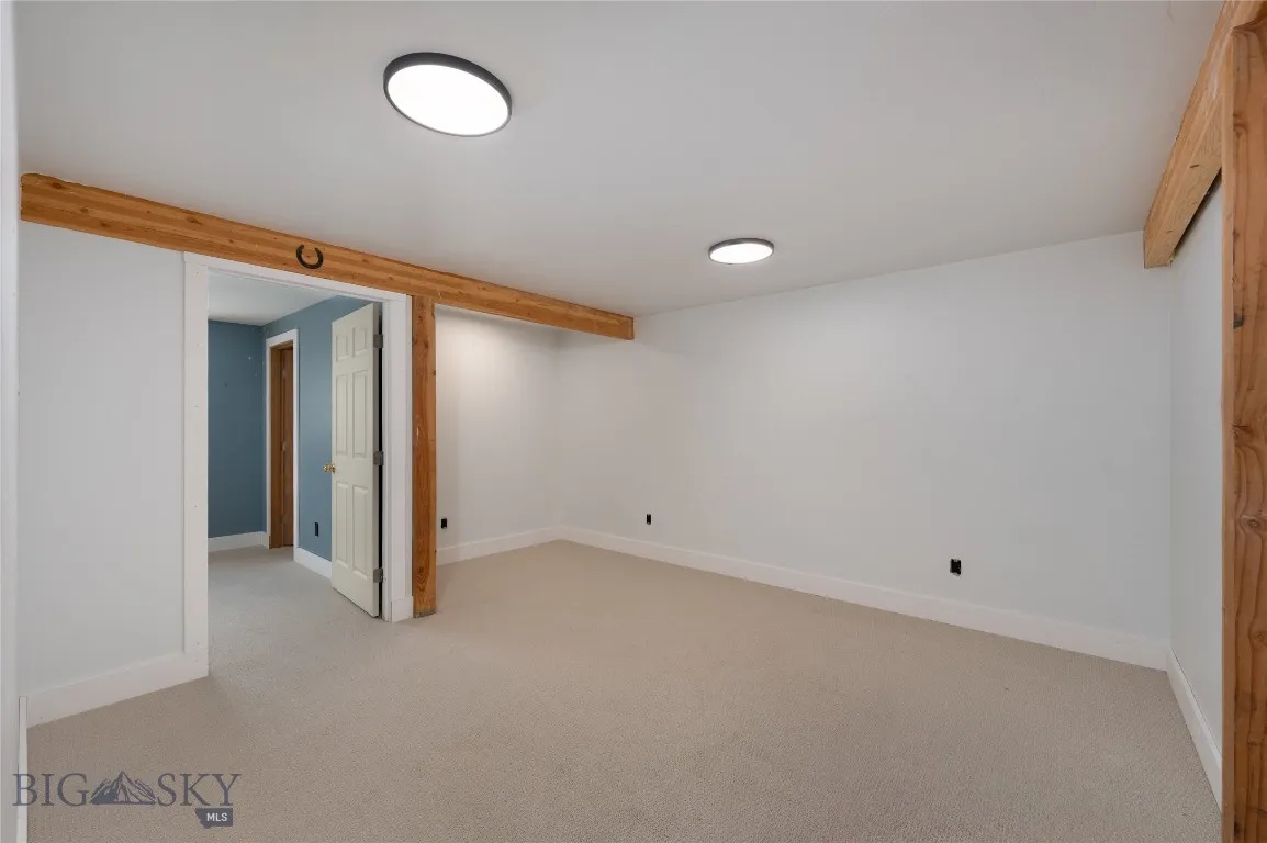 Basement living area