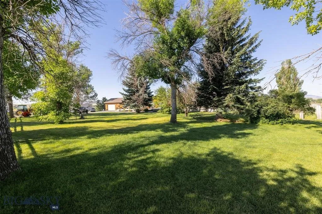Yard full of shade