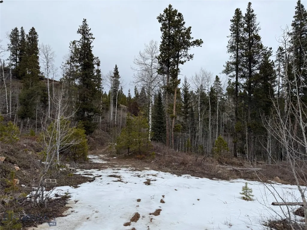 62 Johannesburg Gulch Road, Monarch, Montana 59463, Monarch, Montana 59463, ,Land,For Sale,62 Johannesburg Gulch Road, Monarch, Montana 59463,0,409126