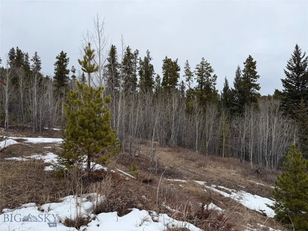 62 Johannesburg Gulch Road, Monarch, Montana 59463, Monarch, Montana 59463, ,Land,For Sale,62 Johannesburg Gulch Road, Monarch, Montana 59463,0,409126