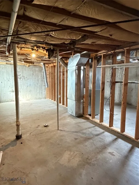 Full unfinished basement