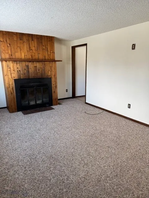 Wood burning fireplace in living room