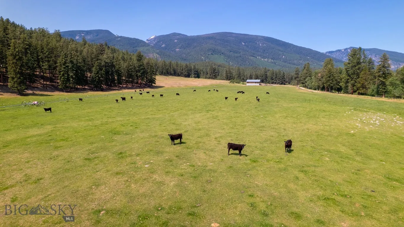 406 Chief Joseph Trail, Darby, Montana 59829, Darby, Montana 59829, 3 Bedrooms Bedrooms, ,3 BathroomsBathrooms,Residential,For Sale,406 Chief Joseph Trail, Darby, Montana 59829,0,408806