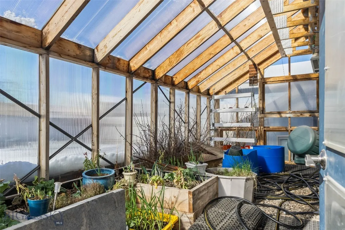 Greenhouse in backyard
