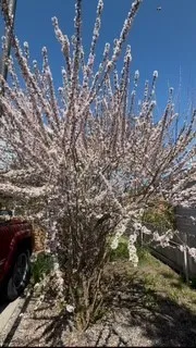 113 10th Street, Belgrade, Montana 59714, Belgrade, Montana 59714, 3 Bedrooms Bedrooms, ,2 BathroomsBathrooms,Residential,For Sale,113 10th Street, Belgrade, Montana 59714,0,409192