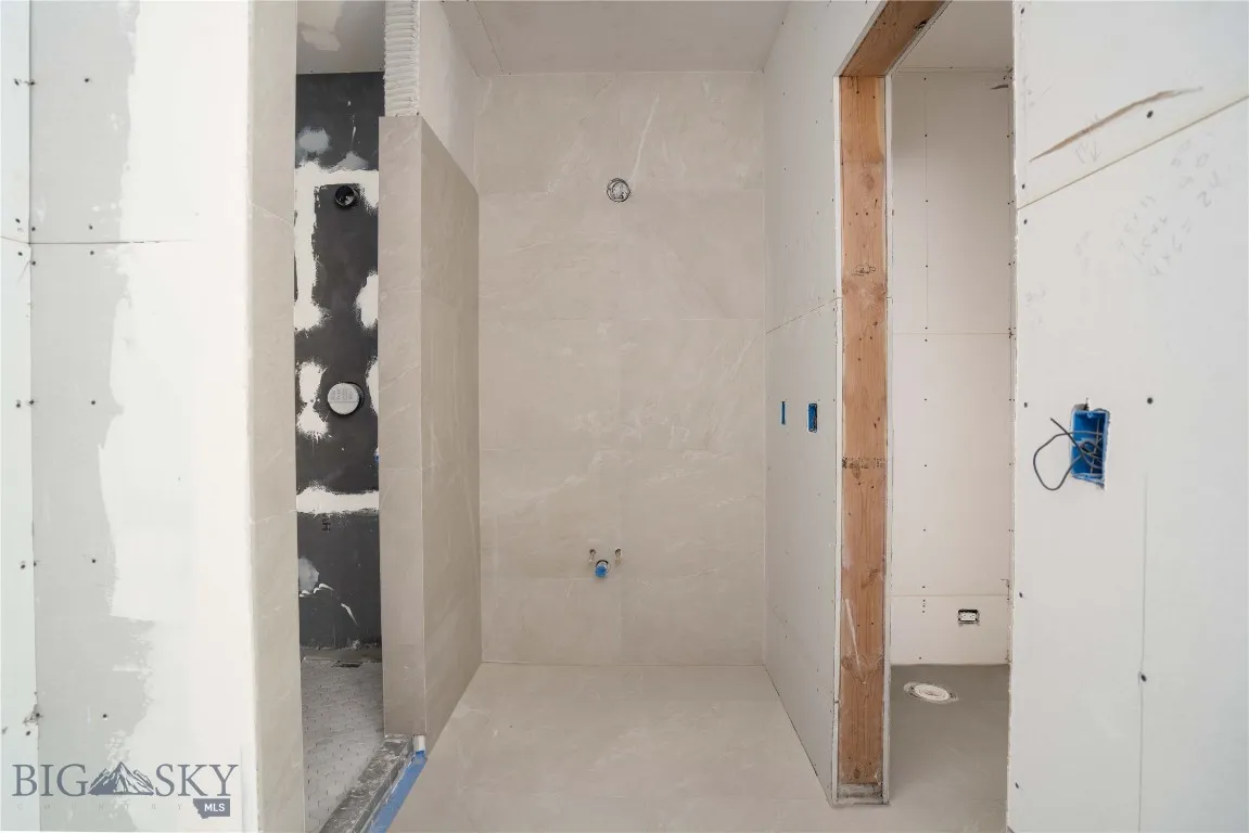 Lower level bathroom