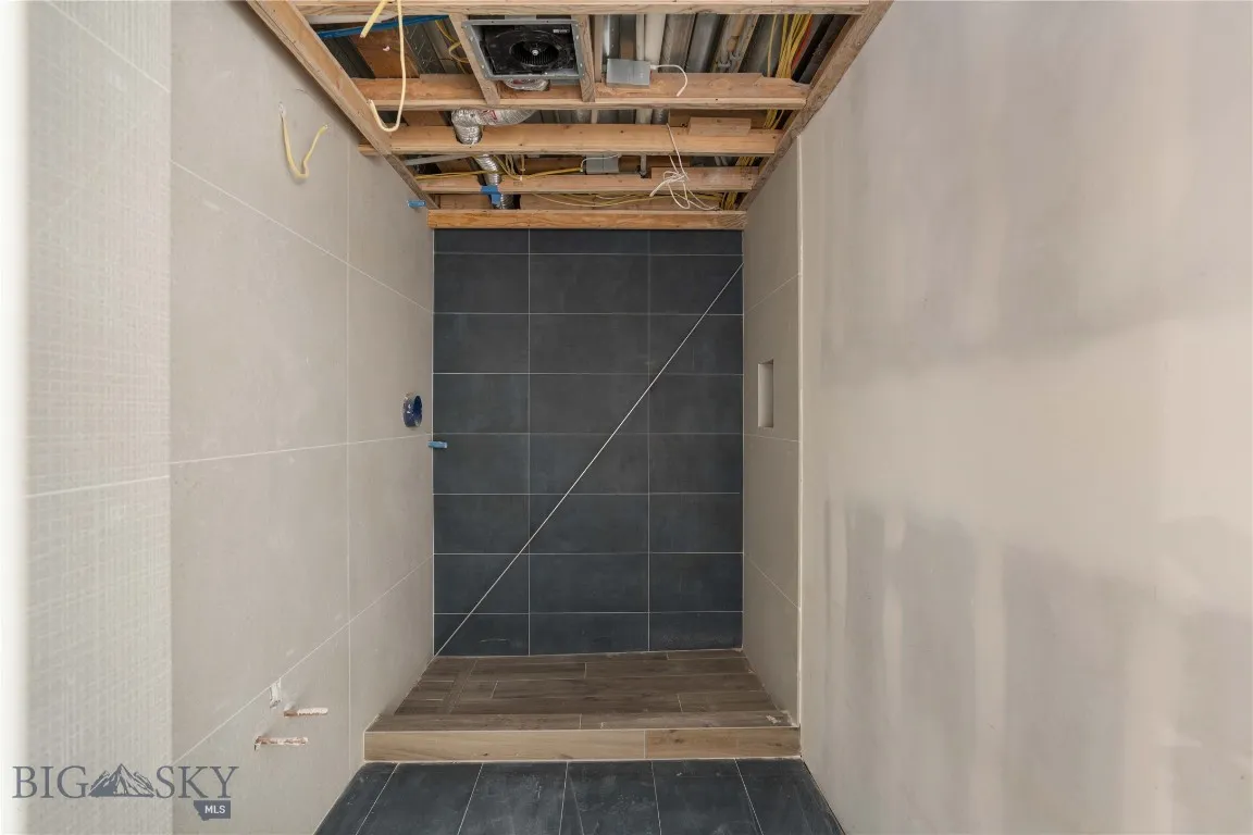Lower level bathroom