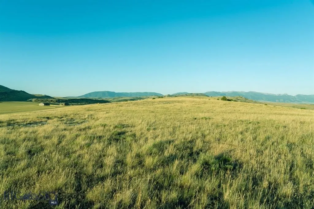 Lot 163 Deerhaven, Manhattan, Montana 59741, Manhattan, Montana 59741, ,Land,For Sale,Lot 163 Deerhaven, Manhattan, Montana 59741,0,409249