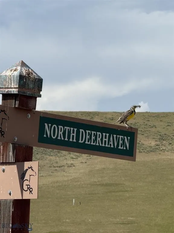 Lot 163 Deerhaven, Manhattan, Montana 59741, Manhattan, Montana 59741, ,Land,For Sale,Lot 163 Deerhaven, Manhattan, Montana 59741,0,409249