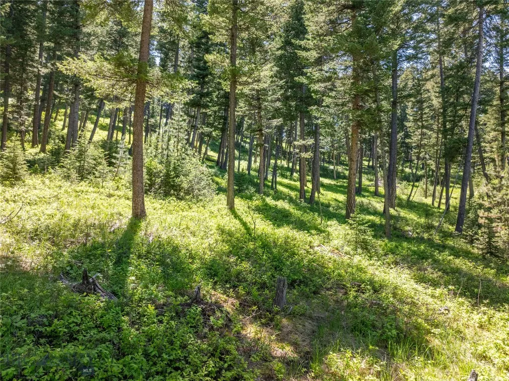 709 Limestone Road, Bozeman, Montana 59715, Bozeman, Montana 59715, 4 Bedrooms Bedrooms, ,3 BathroomsBathrooms,Residential,For Sale,709 Limestone Road, Bozeman, Montana 59715,0,409198