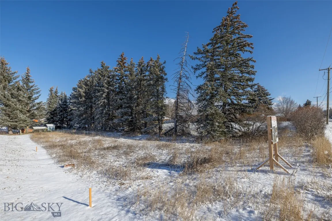 1779 Durston Road, Bozeman, Montana 59715, Bozeman, Montana 59715, ,Land,For Sale,1779 Durston Road, Bozeman, Montana 59715,0,408214