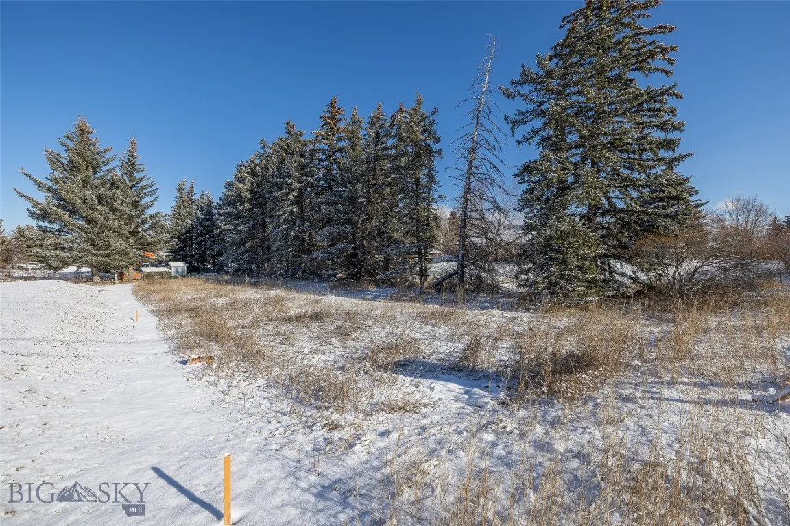 1779 Durston Road, Bozeman, Montana 59715, Bozeman, Montana 59715, ,Land,For Sale,1779 Durston Road, Bozeman, Montana 59715,0,408214