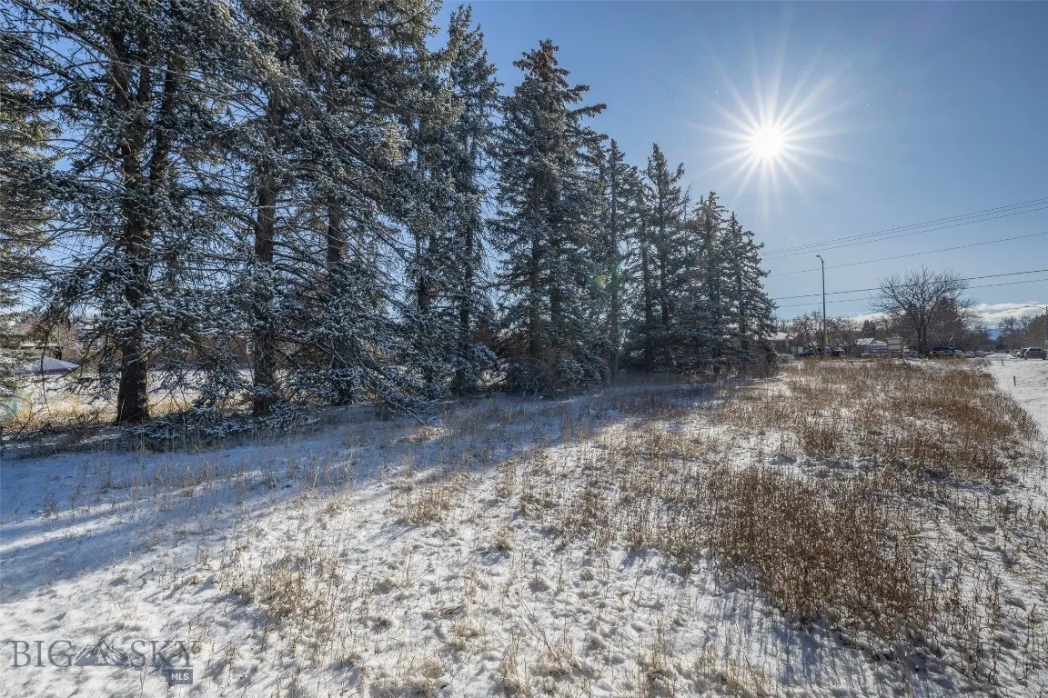 1779 Durston Road, Bozeman, Montana 59715, Bozeman, Montana 59715, ,Land,For Sale,1779 Durston Road, Bozeman, Montana 59715,0,408214