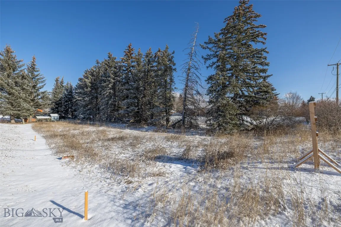 1779 Durston Road, Bozeman, Montana 59715, Bozeman, Montana 59715, ,Land,For Sale,1779 Durston Road, Bozeman, Montana 59715,0,408214