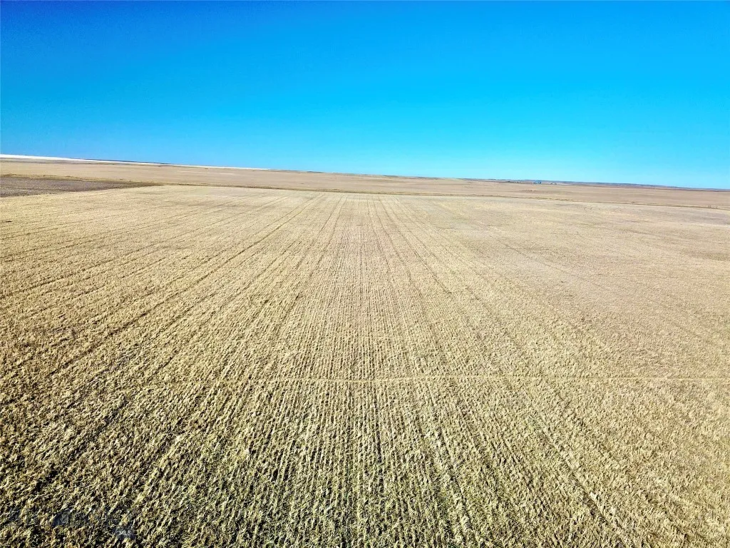 0 Road 220 N, Havre, Montana 59501, Havre, Montana 59501, ,Land,For Sale,0 Road 220 N, Havre, Montana 59501,0,409302