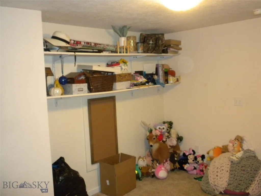 Downstairs Extra Room