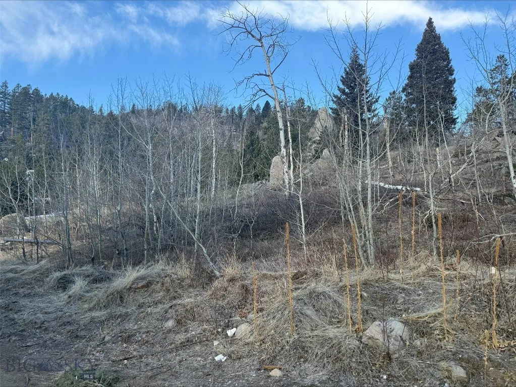 53 Skihi Peak Drive 6 4 A, Clancy, Montana 59634, Clancy, Montana 59634, ,Land,For Sale,53 Skihi Peak Drive 6 4 A, Clancy, Montana 59634,0,409319