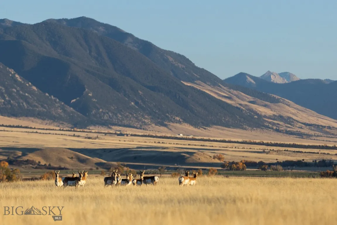 450 Loomis Way C, Ennis, Montana 59729, Ennis, Montana 59729, 3 Bedrooms Bedrooms, ,1 BathroomBathrooms,Residential,For Sale,450 Loomis Way C, Ennis, Montana 59729,0,409010