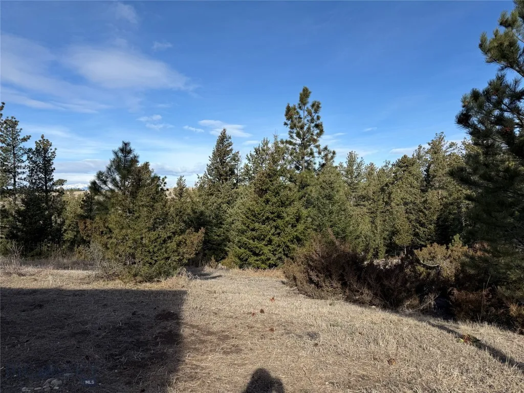 Reed Point, Montana 59069, 3 Bedrooms Bedrooms, ,2 BathroomsBathrooms,Residential,For Sale,0,409359