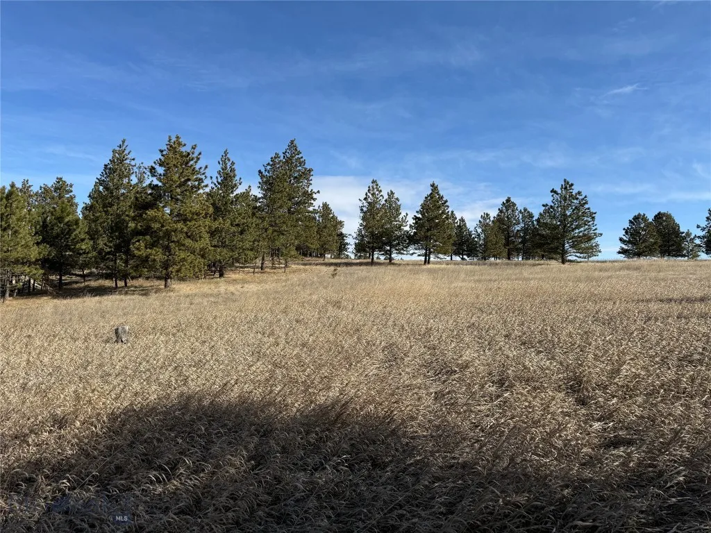 Reed Point, Montana 59069, 3 Bedrooms Bedrooms, ,2 BathroomsBathrooms,Residential,For Sale,0,409359