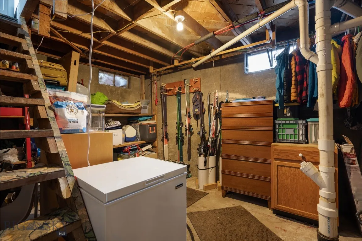 Storage in basement