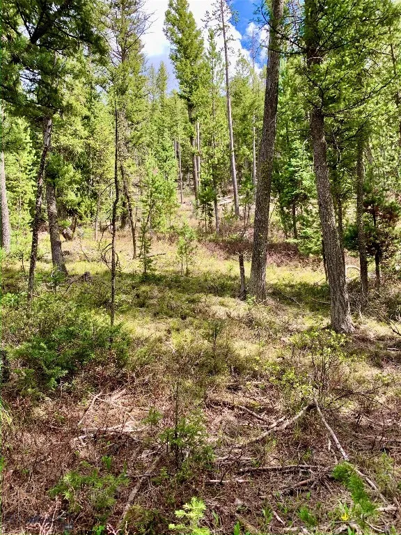 4256 Mountain View Drive, Island Park, Idaho 83429, Island Park, Idaho 83429, ,Land,For Sale,4256 Mountain View Drive, Island Park, Idaho 83429,0,409410