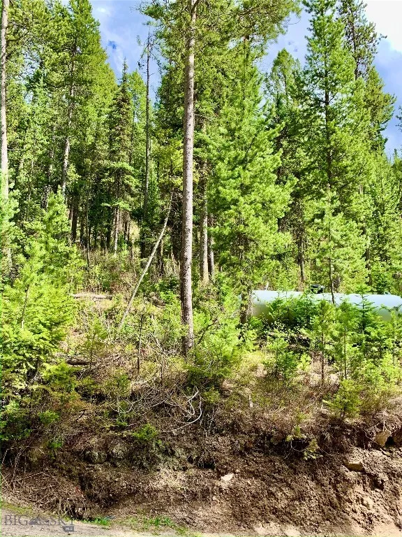 4256 Mountain View Drive, Island Park, Idaho 83429, Island Park, Idaho 83429, ,Land,For Sale,4256 Mountain View Drive, Island Park, Idaho 83429,0,409410