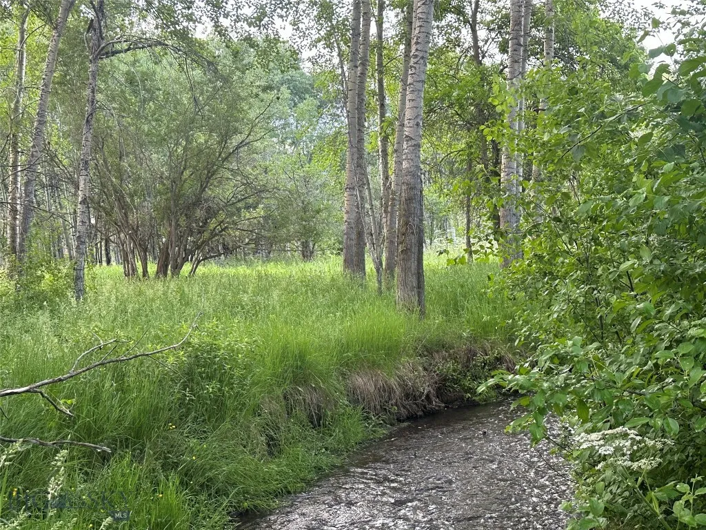 1918 & Tbd Spring Creek Drive, Bozeman, Montan, Bozeman, Montana 59715, 4 Bedrooms Bedrooms, ,2 BathroomsBathrooms,Residential,For Sale,1918 & Tbd Spring Creek Drive, Bozeman, Montan,0,409414